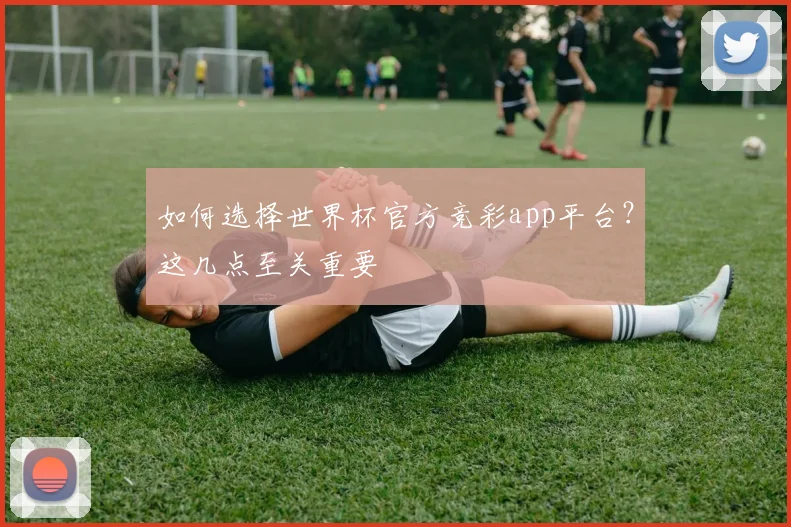 如何选择世界杯官方竞彩app平台？这几点至关重要