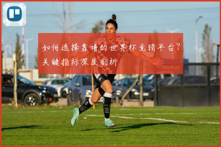 如何选择靠谱的世界杯竞猜平台？关键指标深度剖析