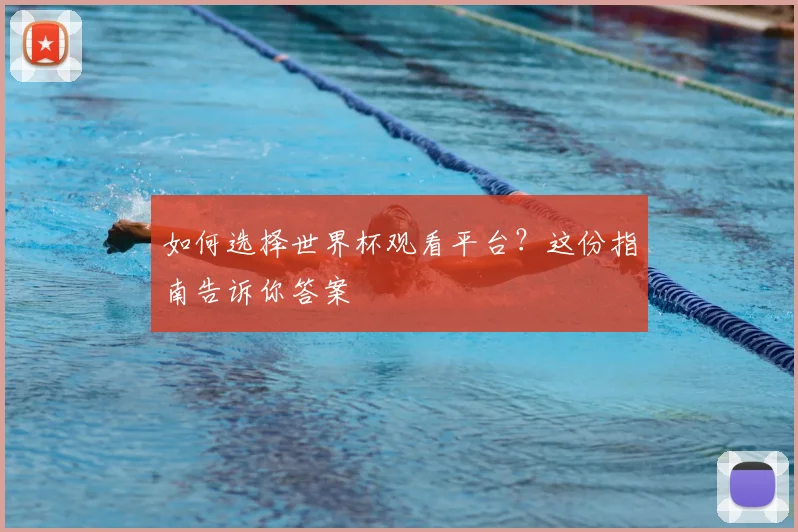 如何选择世界杯观看平台？这份指南告诉你答案