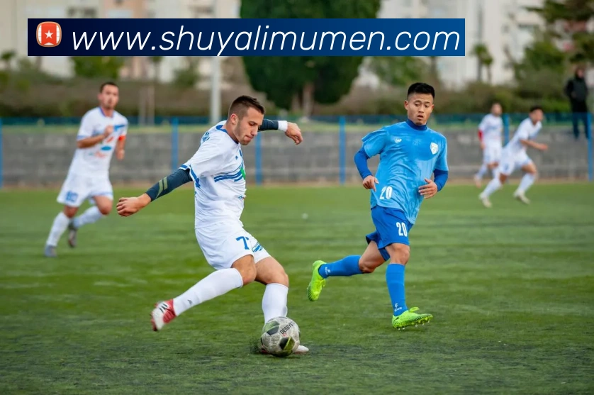 开云手机在线官网登录APP 高清赛事图